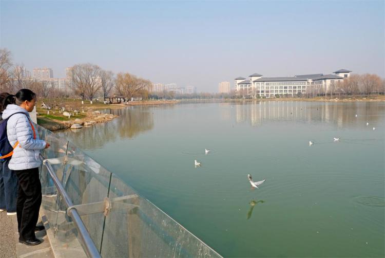 ����԰���˺���Ÿ